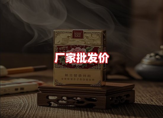专业团队